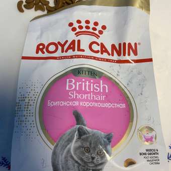 Корм сухой для котят ROYAL CANIN British Shorthair 400г породы британской короткошерстной: отзыв пользователя. Зоомагазин Зоозавр