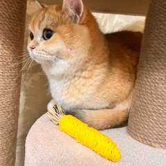 Фото отзыва 10581786