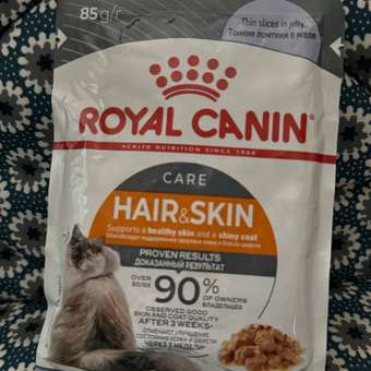 Корм для кошек Royal Canin 85г Hair and skin для поддержания здоровья кожи и красоты шерсти тонкие ломтики в желе: отзыв пользователя. Зоомагазин Зоозавр