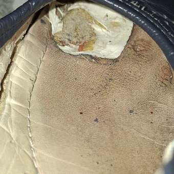 Туфли Bottilini: отзыв пользователя Детский Мир