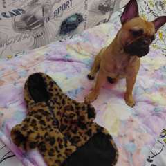 Фото отзыва 11039939