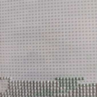 Алмазная мозаика Art on Canvas Нежные цветы в ассортименте: отзыв пользователя Детский Мир