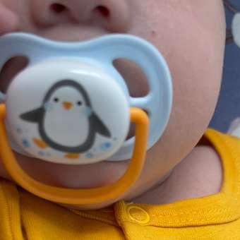 Пустышка Philips Avent силикон от 0 мес. 2 шт.: отзыв пользователя ДетМир