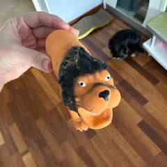 Фото отзыва 10954426