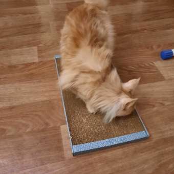 Когтедралка для кошек РАВ с кошачьей мятой большая 29689: отзыв пользователя. Зоомагазин Зоозавр