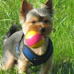 Фото отзыва 10781208