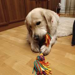 Фото отзыва 11100257