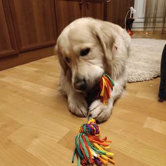 Игрушка для собак Barbaks Канатик с тремя узлами желто-красно-зеленый 50см: отзыв пользователя. Зоомагазин Зоозавр