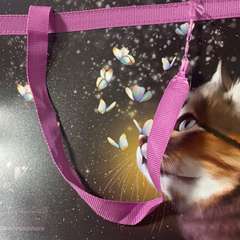 Фото отзыва 10606805