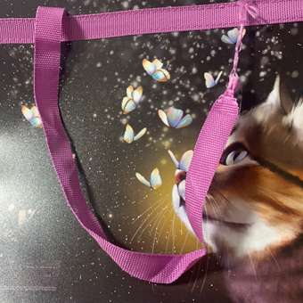 Папка с ручками Brauberg А4: отзыв пользователя Детский Мир