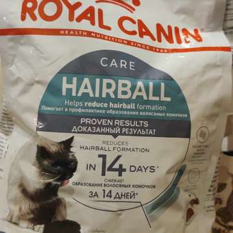 Корм сухой для кошек ROYAL CANIN Hairball Care 2кг для профилактики образования волосяных комочков в желудочно-кишечном тракте: отзыв пользователя. Зоомагазин Зоозавр