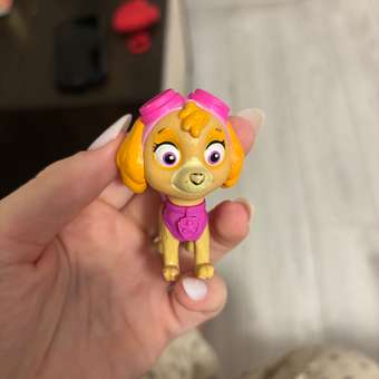Игровой набор Paw Patrol Скай: отзыв пользователя ДетМир