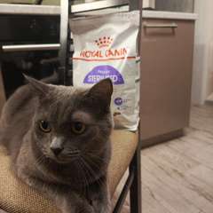 Фото отзыва 10667632