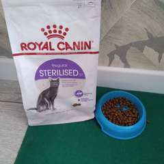 Фото отзыва 11010012