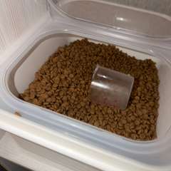 Фото отзыва 10980506