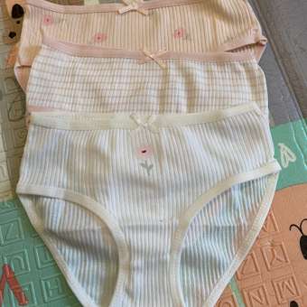 Трусы Day and Night 3 шт: отзыв пользователя Детский Мир