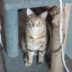 Фото отзыва 10973504