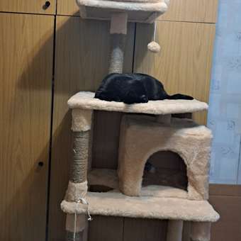 Игровой комплекс для кошек дом Pet БМФ Бежевый: отзыв пользователя. Зоомагазин Зоозавр