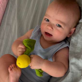 Комфортер OLI and CAROL Mini Doudou teether jahn lemon: отзыв пользователя Детский Мир