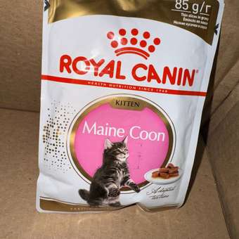 Корм для котят Royal Canin 85г Maine Coon Kitten соус для котят мейн кун пауч: отзыв пользователя. Зоомагазин Зоозавр