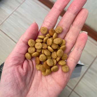 Корм для кошек ROYAL CANIN Renal RF23 лечение заболеваний почек 2кг: отзыв пользователя. Зоомагазин Зоозавр