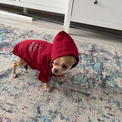 Фото отзыва 10632234