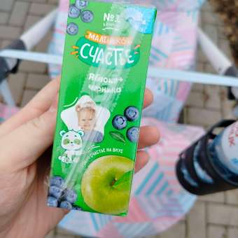 Нектар Маленькое счастье Яблоко-Черника с 5 мес 0.2 л: отзыв пользователя ДетМир