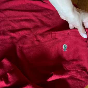Рубашка-поло Lacoste: отзыв пользователя Детский Мир