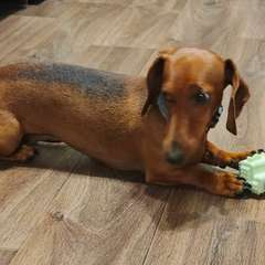 Фото отзыва 9888055