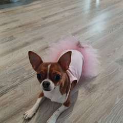 Фото отзыва 8851769