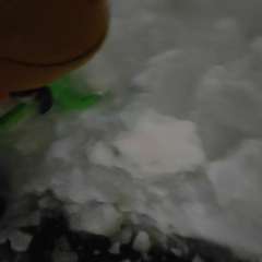 Видео отзыва 8026276