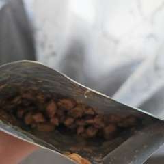 Фото отзыва 10971349