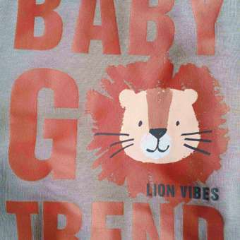 Свитшот Baby Gо Trend: отзыв пользователя Детский Мир