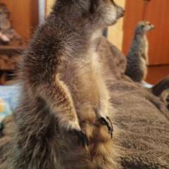 Фото отзыва 10746389