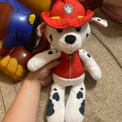 Фото отзыва 10700107