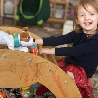 Игрушка Fisher Price: отзыв пользователя Детский Мир