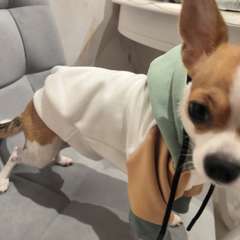 Фото отзыва 10745608