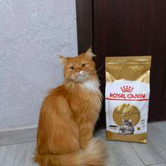 Фото отзыва 10715305