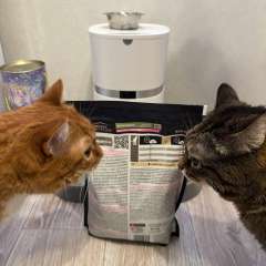 Фото отзыва 10892769