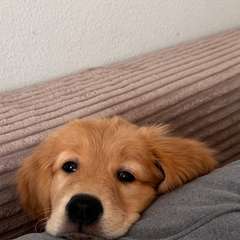 Фото отзыва 11296494