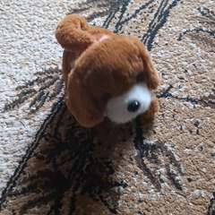 Видео отзыва 10021934