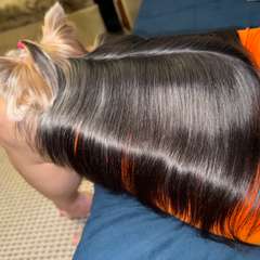 Фото отзыва 11266826