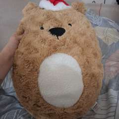 Фото отзыва 10626862