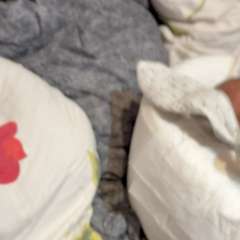 Видео отзыва 10855292