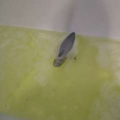 Фото отзыва 10986171