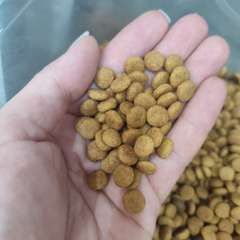 Фото отзыва 11114733