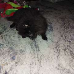 Фото отзыва 10818347