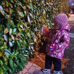 Фото отзыва 8728096