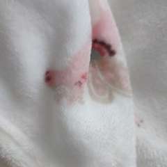 Фото отзыва 11183648