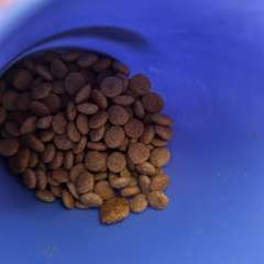 Фото отзыва 11046818